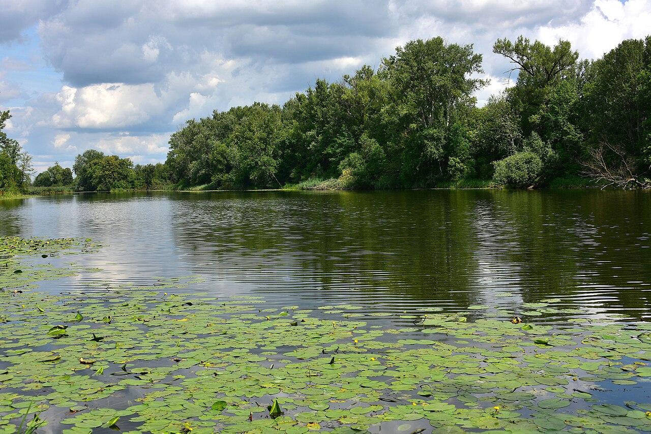 Wilanowskie Kino na Leżakach: całe lato darmowe seanse pod chmurką na Klimczaka